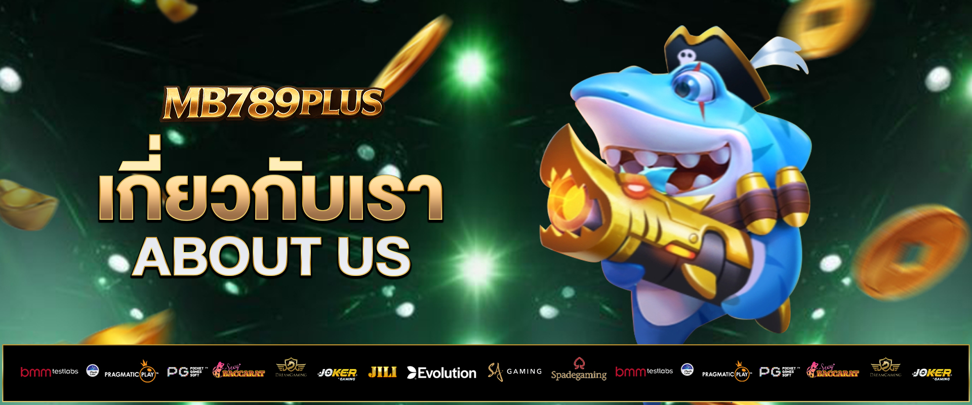 เกี่ยวกับเรา